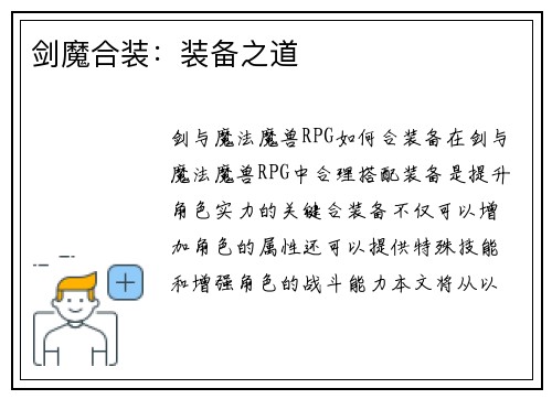 剑魔合装：装备之道